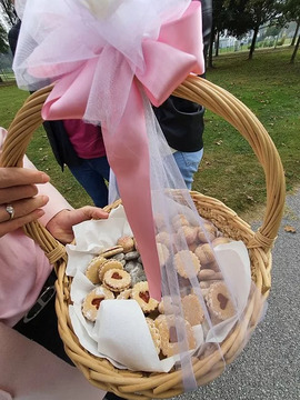 Rožnati oktober in zasaditev ¨rožnatega drevesa¨ tudi v Gornji Radgoni 1